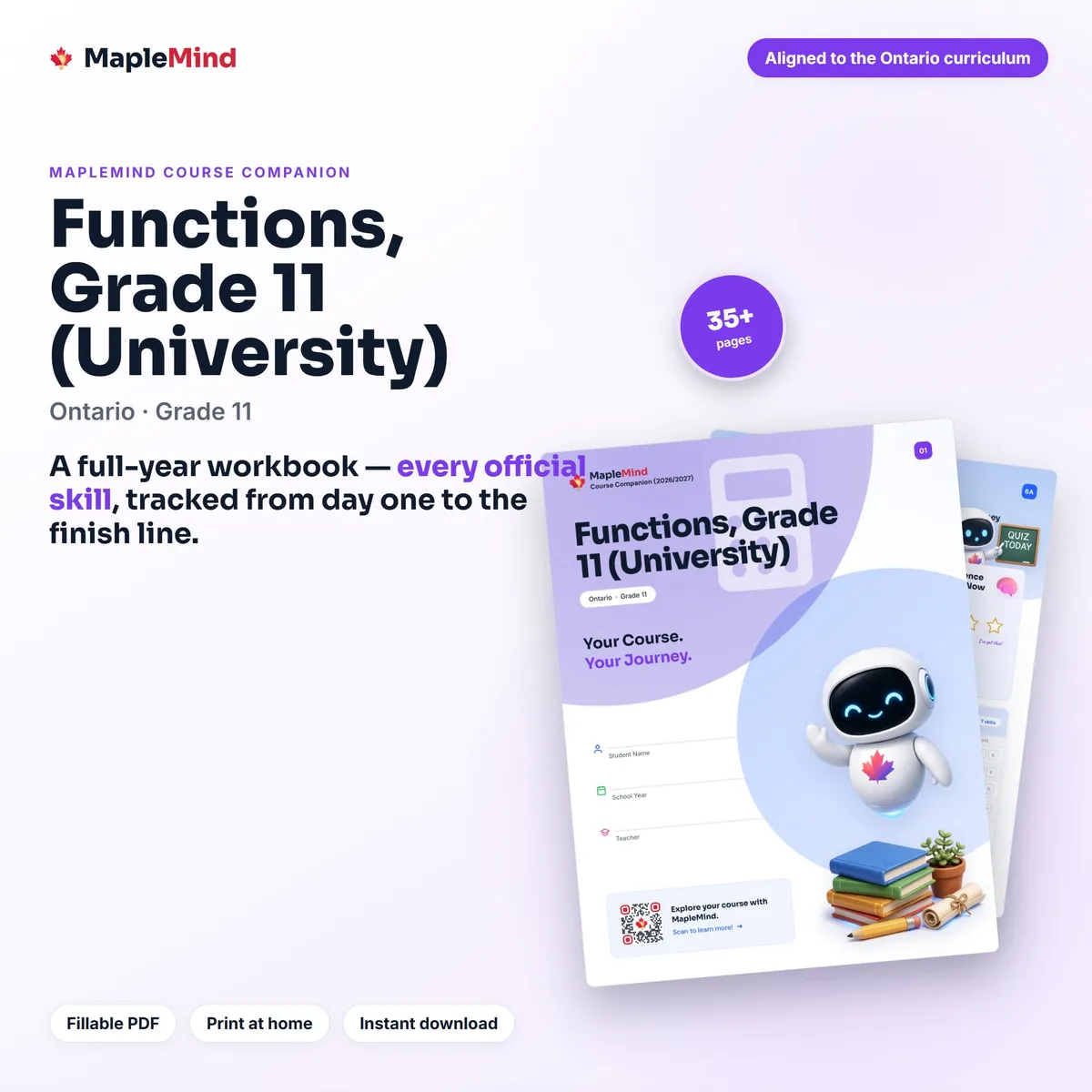 Functions, Grade 11 (University) Course Companion workbook cover