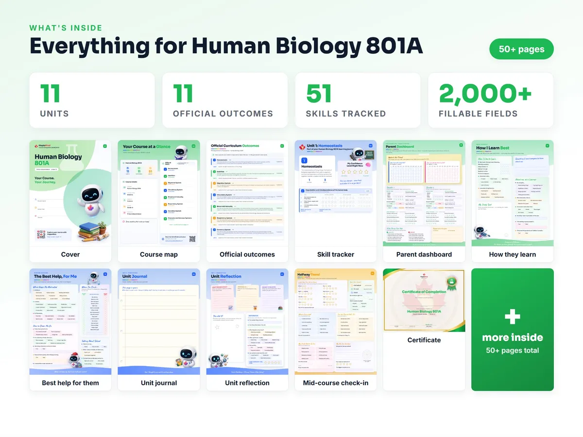 What's inside the Human Biology 801A workbook — checklist, skills tracker, reflections, parent pages and certificate
