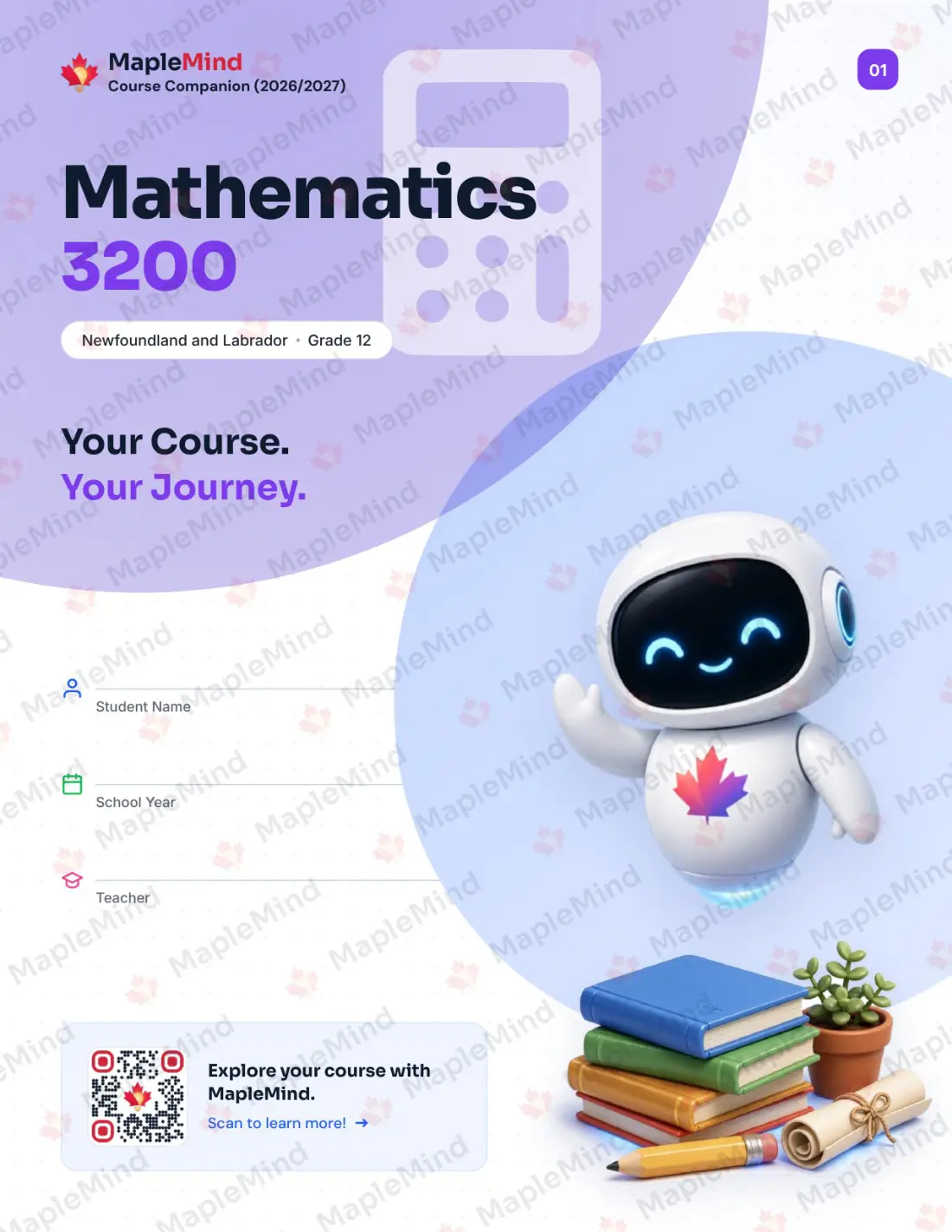 Page 1 of 33 from the Mathematics 3200 Newfoundland and Labrador Course Companion — workbook cover
