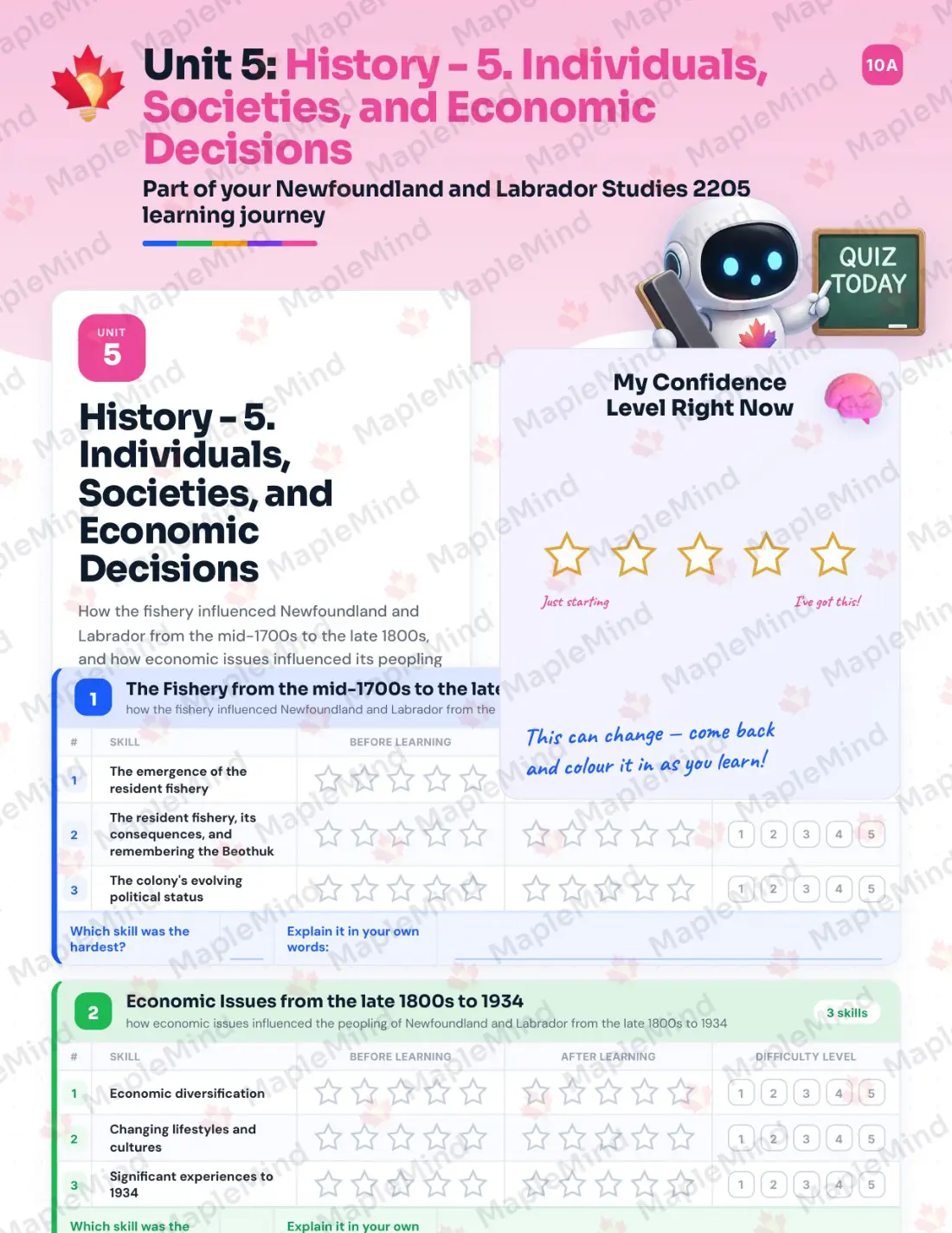 Page 18 of 33 from the Newfoundland and Labrador Studies 2205 Newfoundland and Labrador Course Companion — skills tracker with before and after self-assessment
